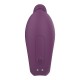 VIBRADOR DE CASAL COM CONTROLE 8482